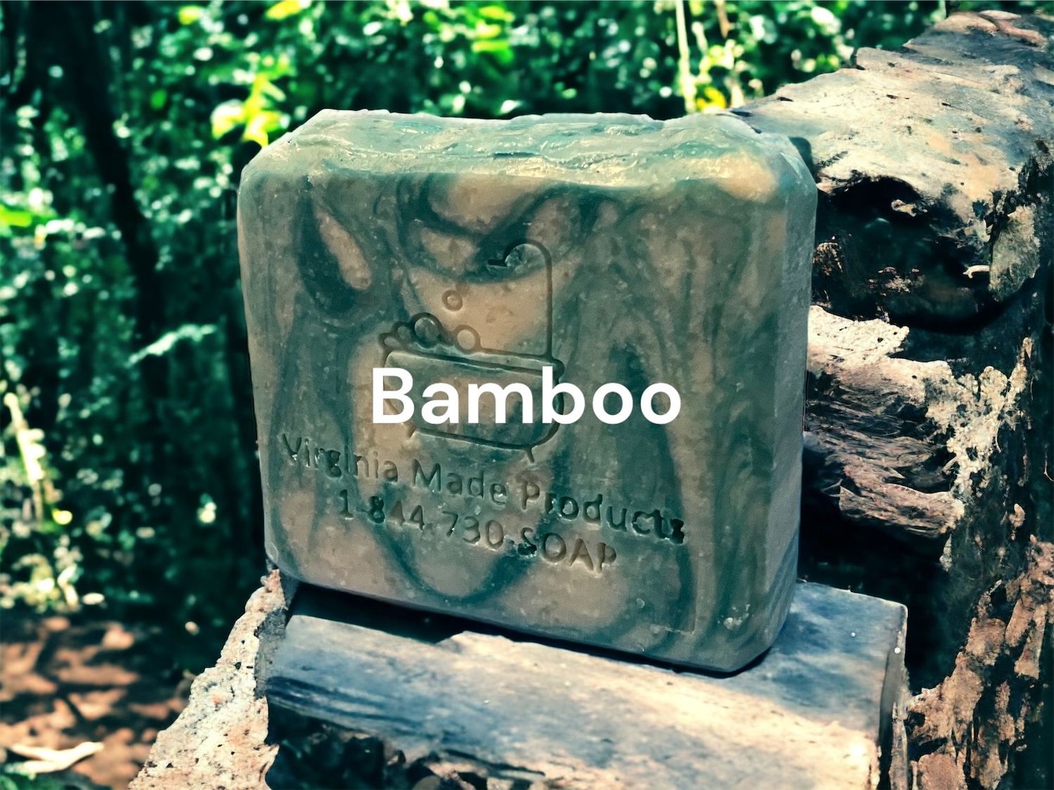 Bamboo