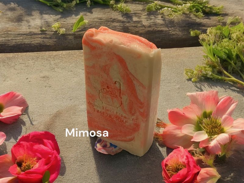 Mimosa