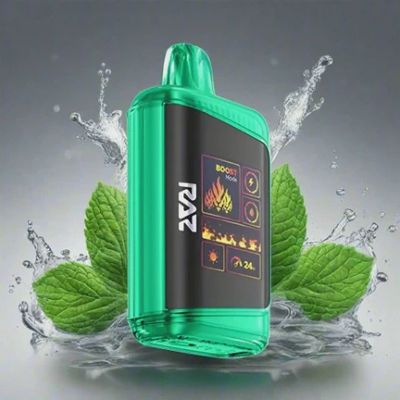 Raz Wintergreen (2500 Puffs)