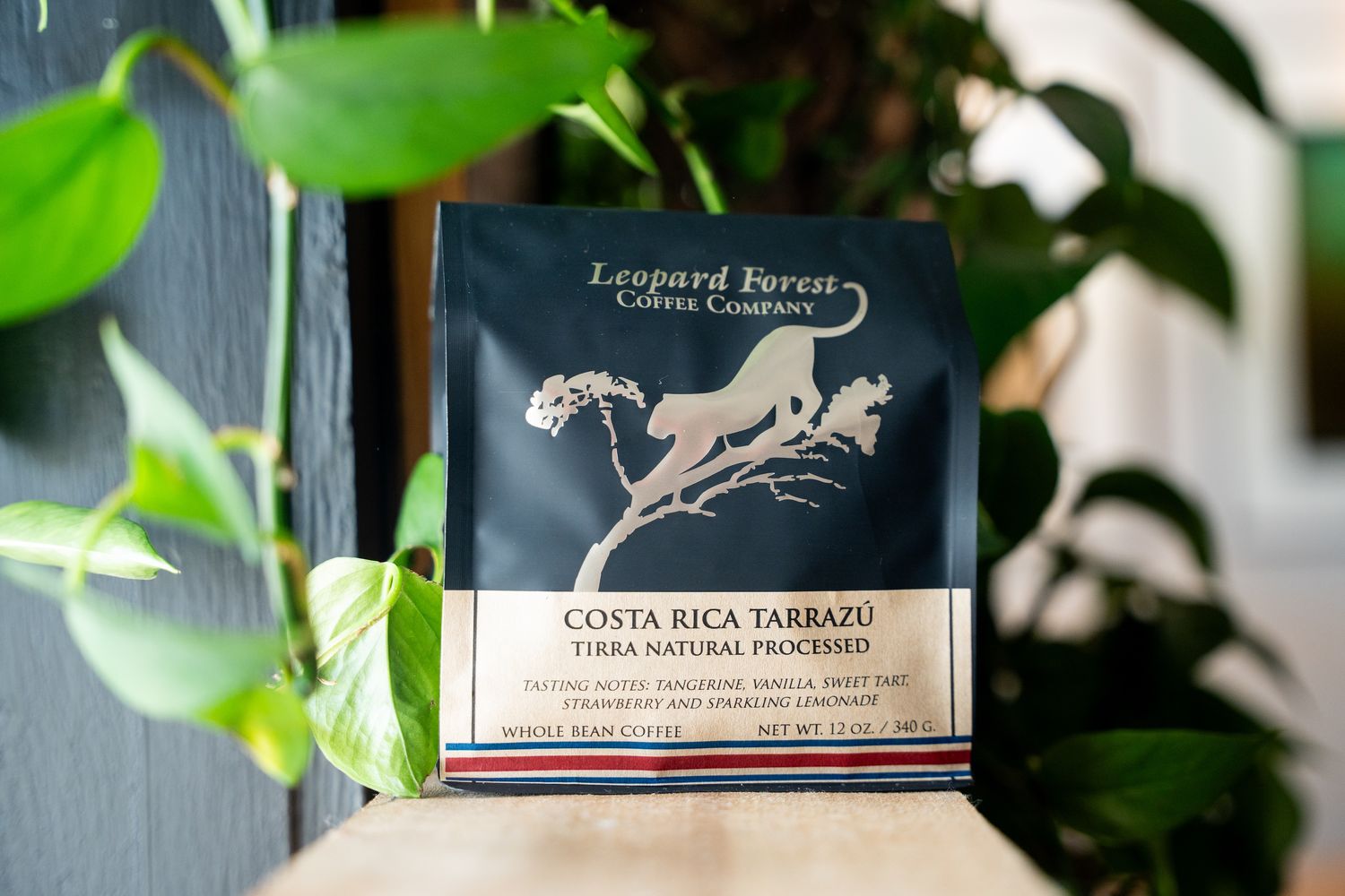 Costa Rica Tarrazú Tirra Estate Natural