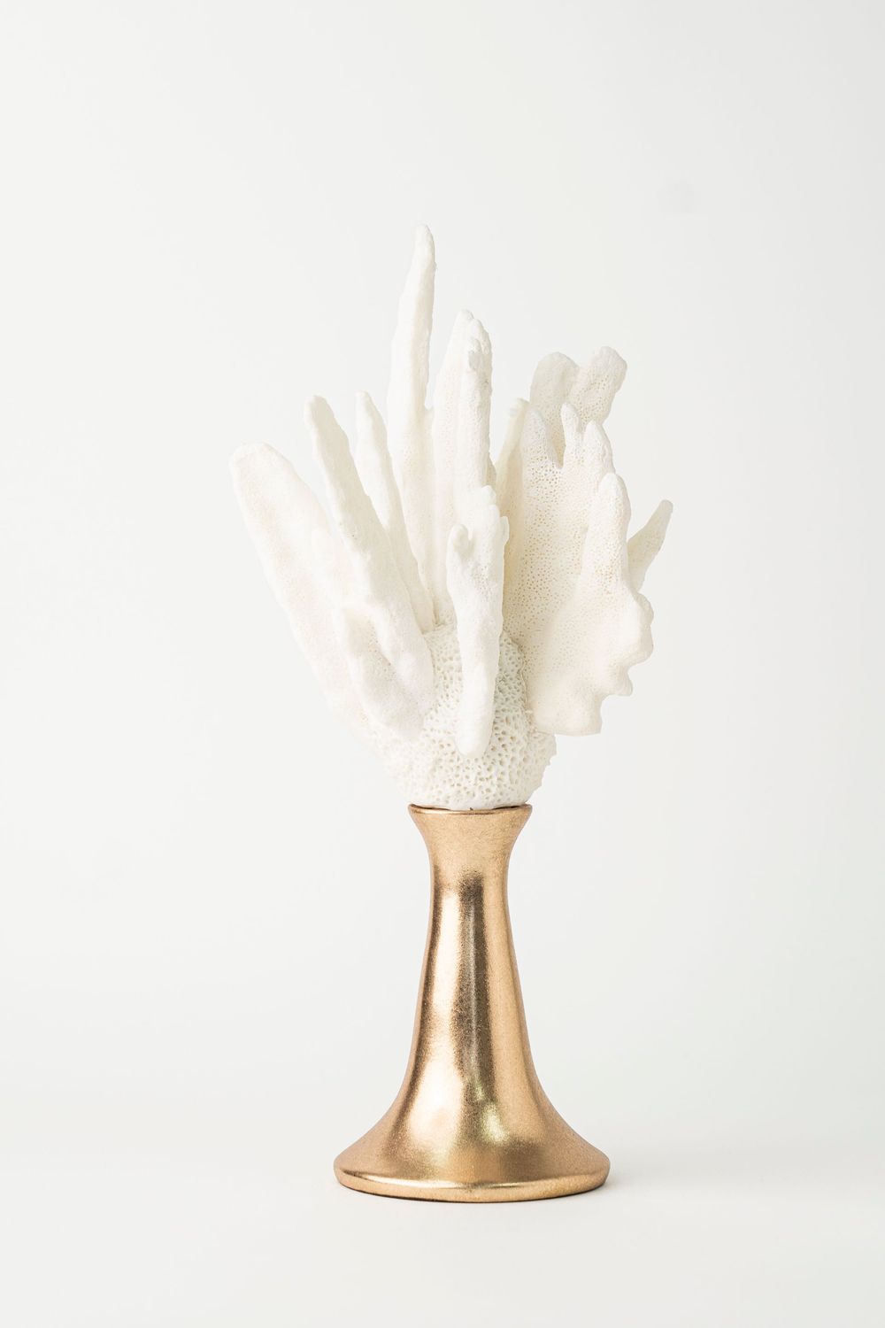 Antler Coral Collection Tall