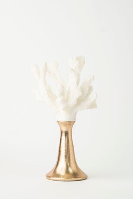 Antler Coral Collection Short