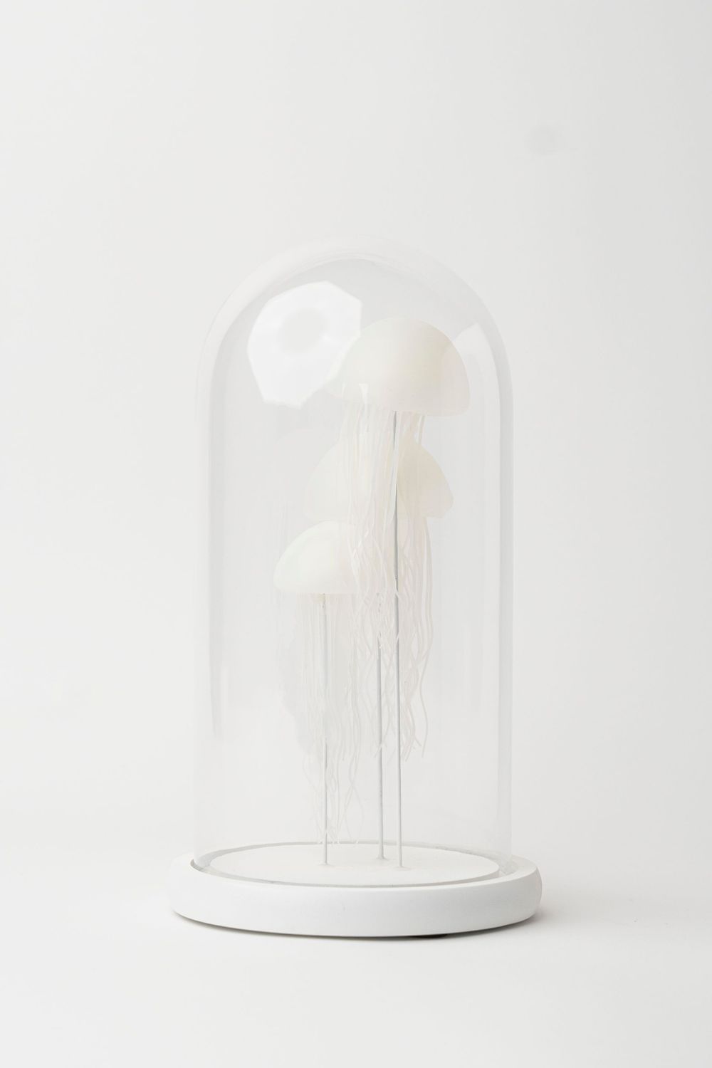 Nightlight Jellyfish A