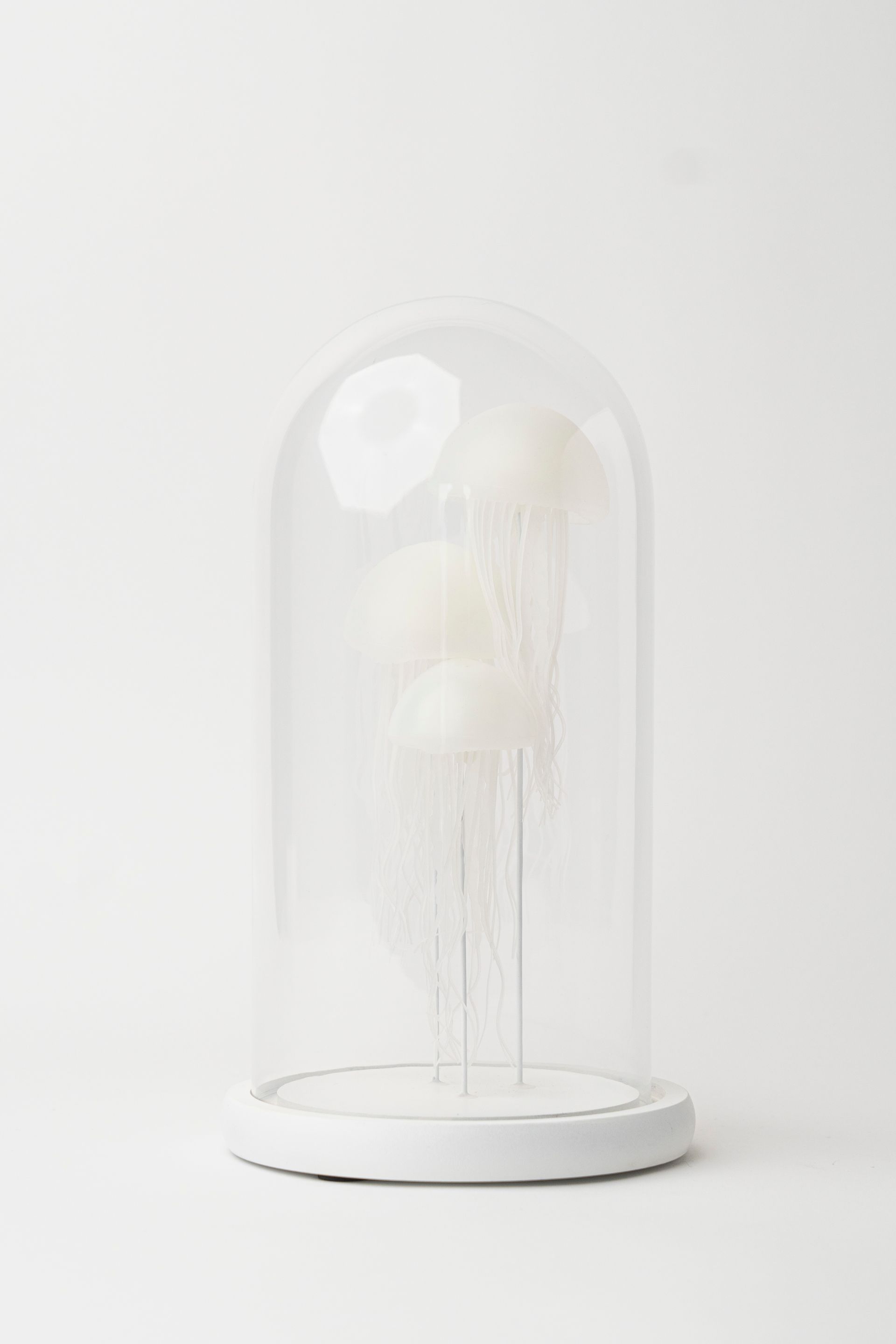 Nightlight Jellyfish A