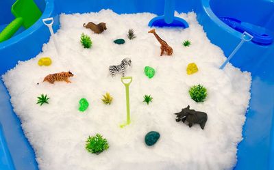 Animals theme