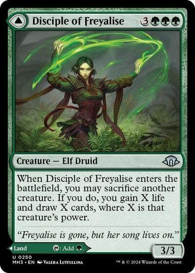 Disciple of Freyalise - 250 (Normal, U)