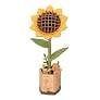 Sunflower Wooden Model Kit