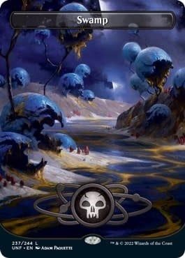 Swamp (237) (Borderless) (Normal, L)