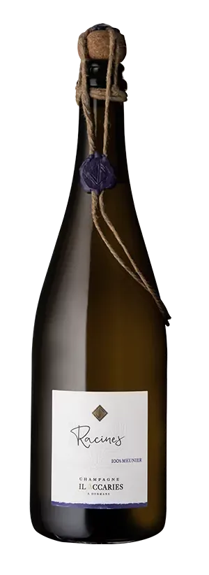 Jil Accaries Champagne Cuvée Racines