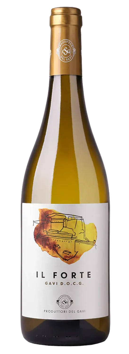 Produttori del Gavi Il Forte Gavi  DOCG