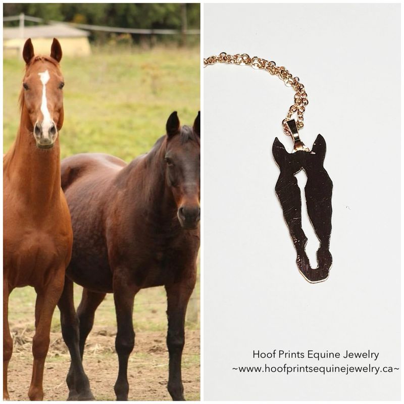 Horse Head Silhouette