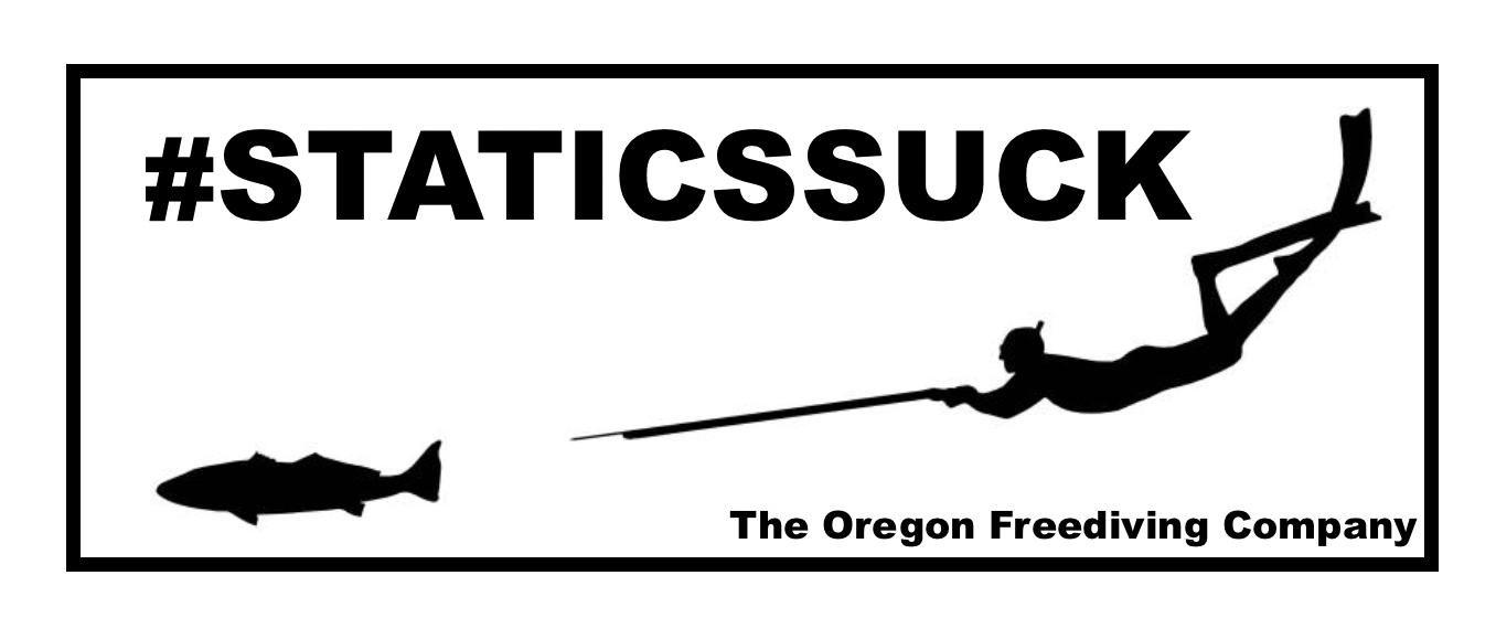 Statics Suck Sticker