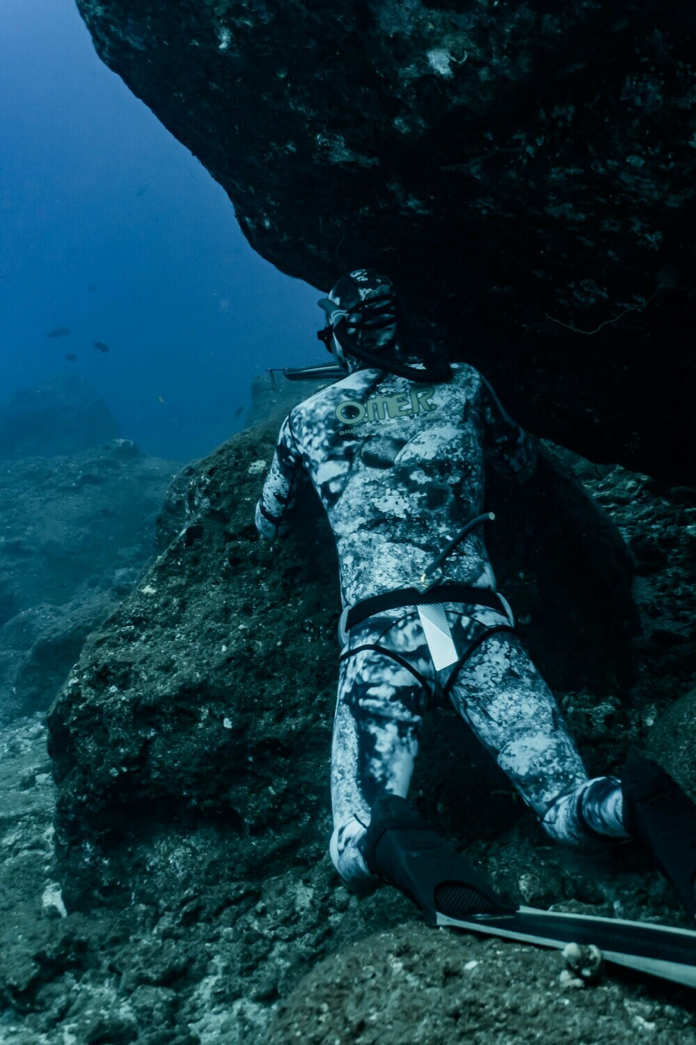 Spearfishing I