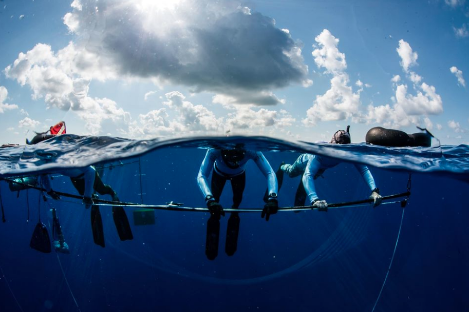 Freediver course remainder