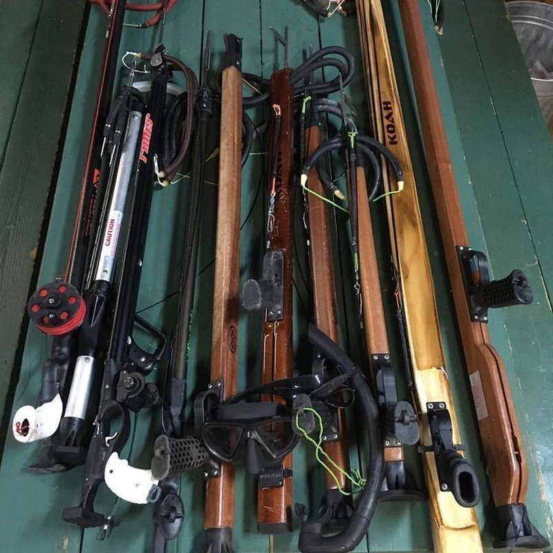 Statics &amp; Spearguns