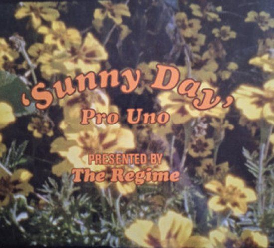 The Regime , Pro Uno ‎– Sunny Day - LP