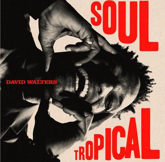 David Walters - Soul Tropical (2 LP)