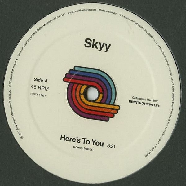 Skyy – Here&#39;s To You / You Got Me Up -12&quot;