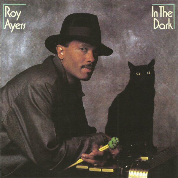 Roy Ayers – In The Dark - cd -