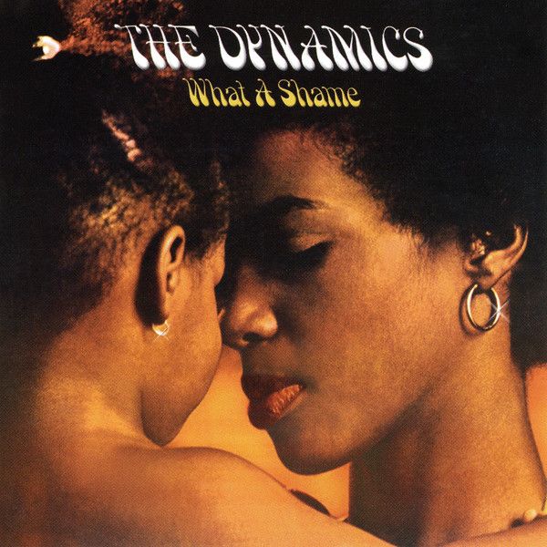 The Dynamics – What A Shame  - cd