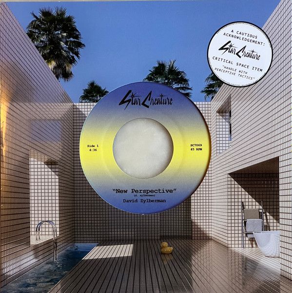 David Zylberman ‎– New Perspective / Solstice - 7"