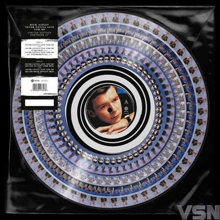 Rick Astley - Never Gonna Give You Up (12&quot; Single) (Zoetrope)