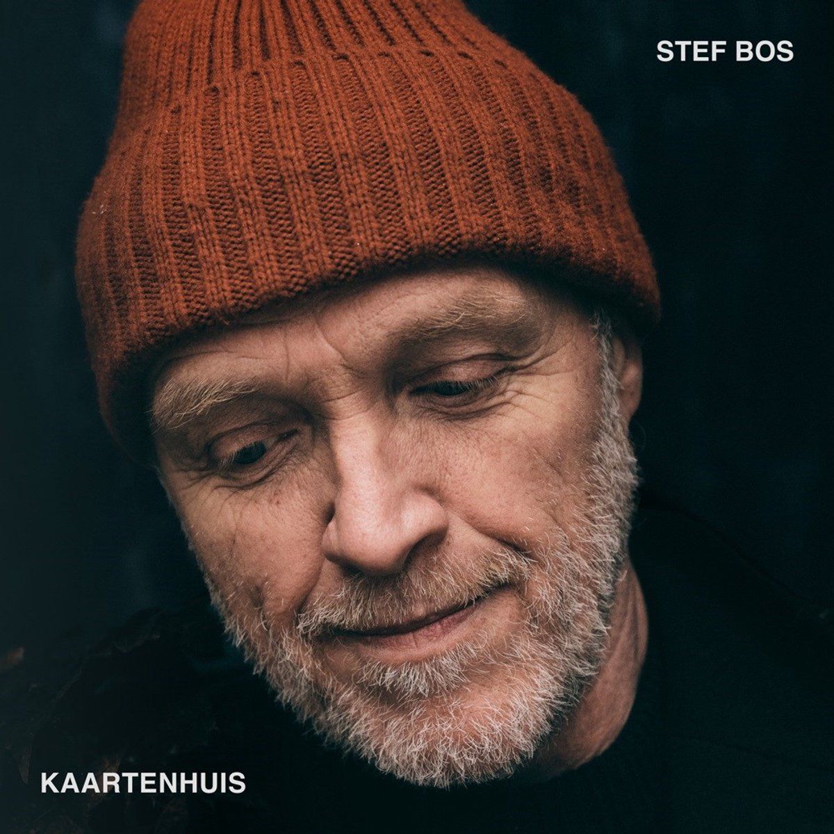 Stef Bos - Kaartenhuis (LP)