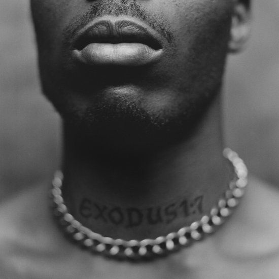 DMX -Exodus - lp