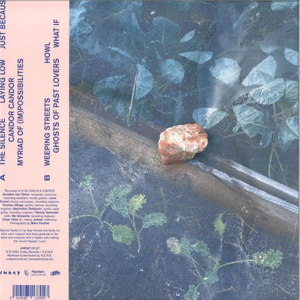 Echo Beatty – Vision Glitch - lp