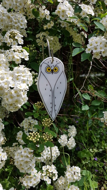 Snowy Owl