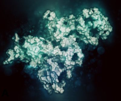 Aminos and Liquids RUO