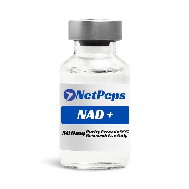 NetPeps NAD+ 500mg vial, purity exceeds 99%, research use only.
