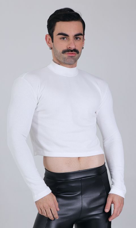 Ribbed Long Sleeve Basic Cropped Top