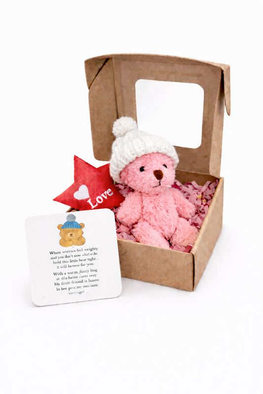 Pink Mini Worry Bear Pocket Bear in a box