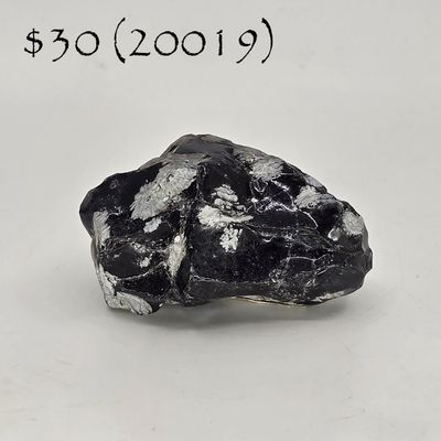 Snowflake Obsidian (20019)