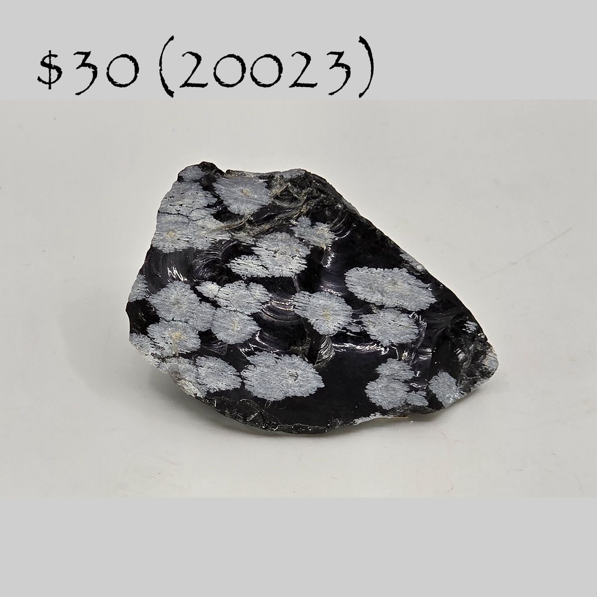 Snowflake Obsidian (20023)