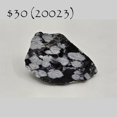 Snowflake Obsidian (20023)