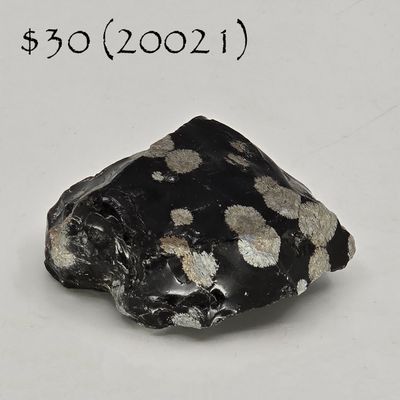 Snowflake Obsidian  (20021)