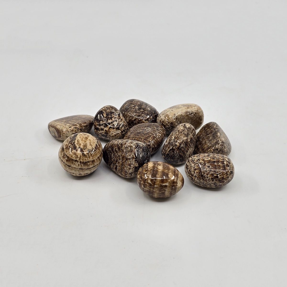 Aragonite, Tumbled $5