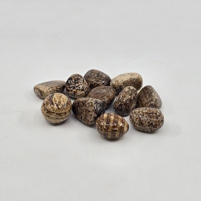 Aragonite, Tumbled $5