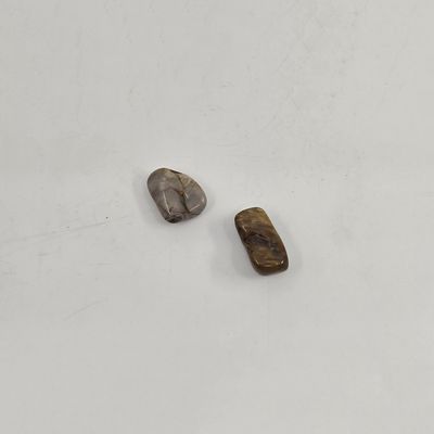 Petrified Wood, Tumbled