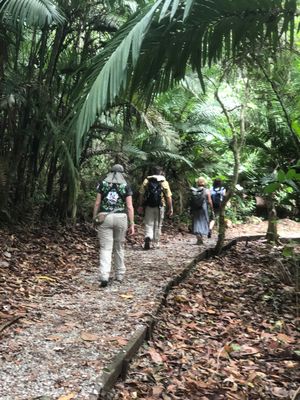 Metropolitan Park Hiking Ecotour