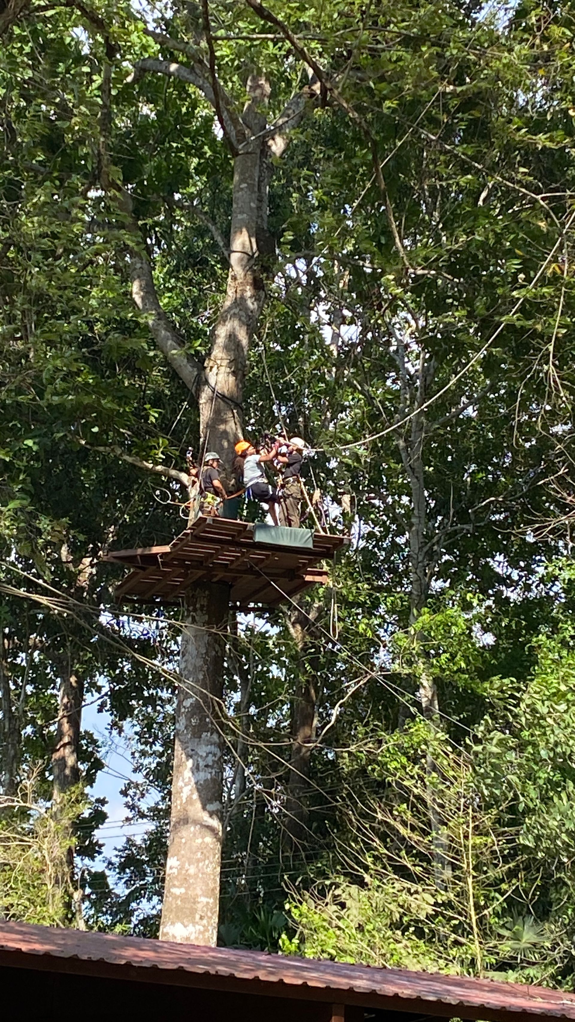 Zip-Line Rainforest Adventure