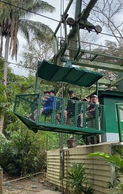 Aerial Rainforest Tram