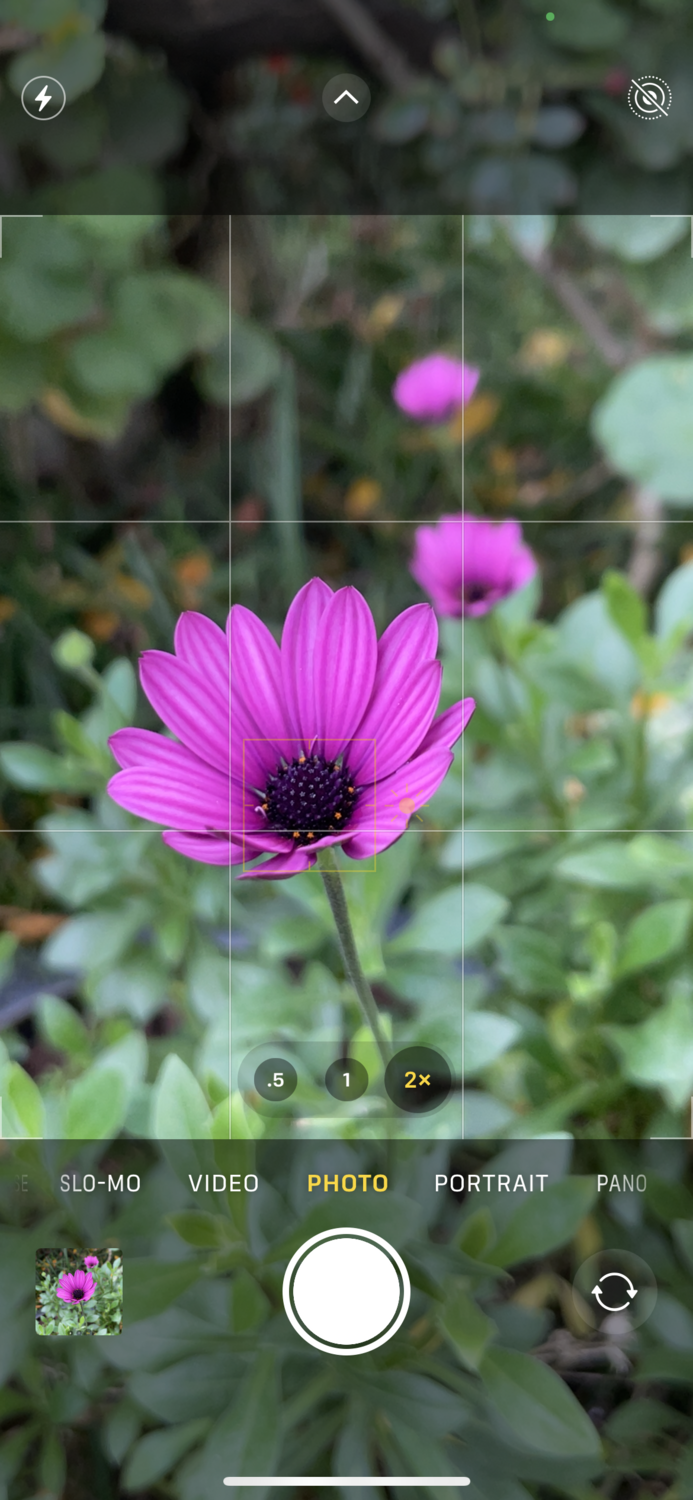 Advanced Smartphone Photography