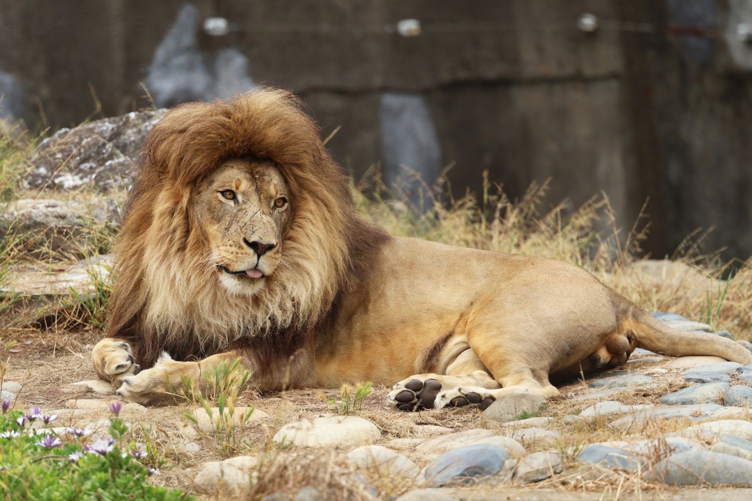 Elaine&#39;s Private Photography Class (2 hours) and Zoo Tickets