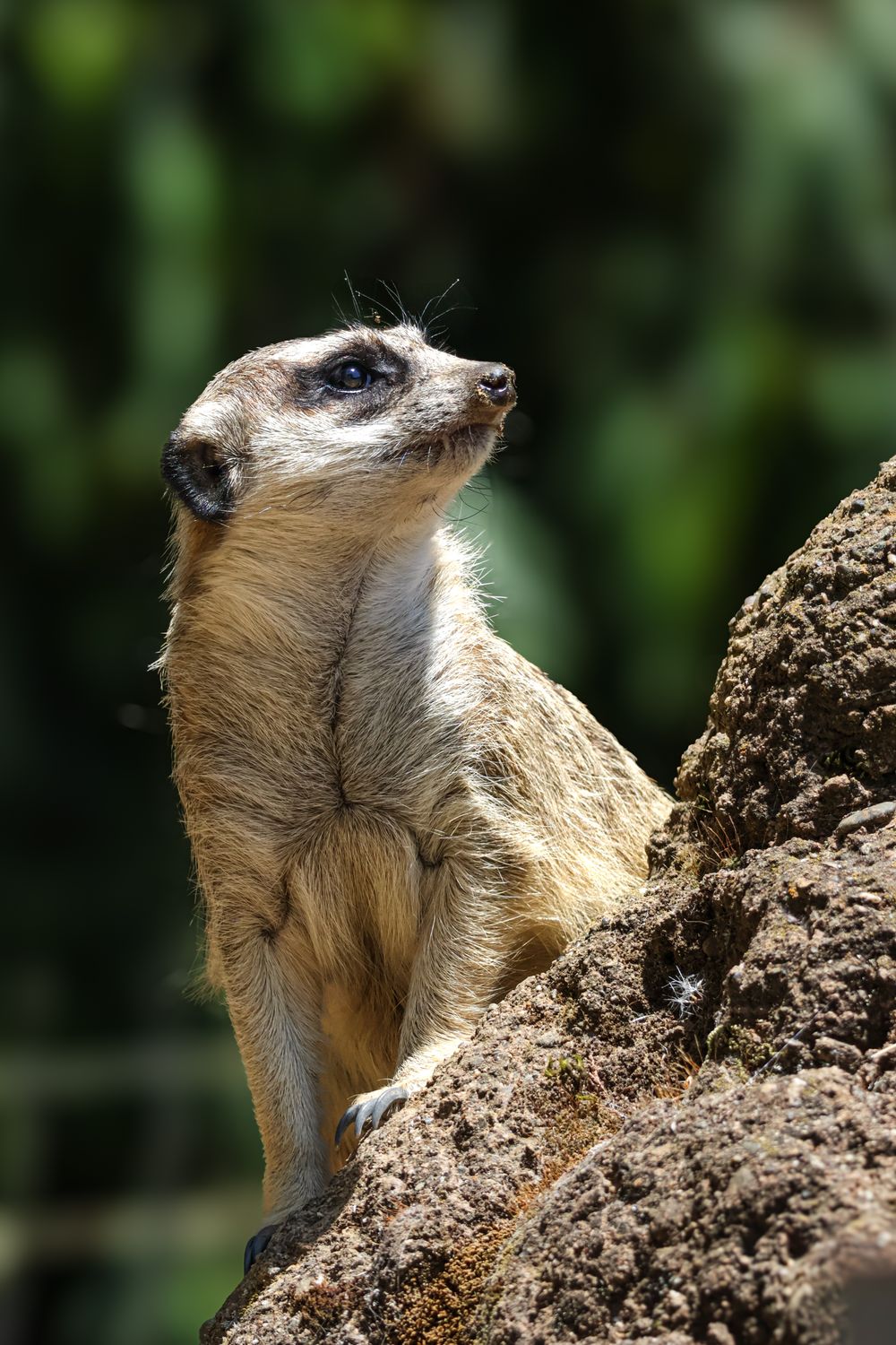 Simon&#39;s Private Photography Classes (6 Lessons and Zoo Tickets)