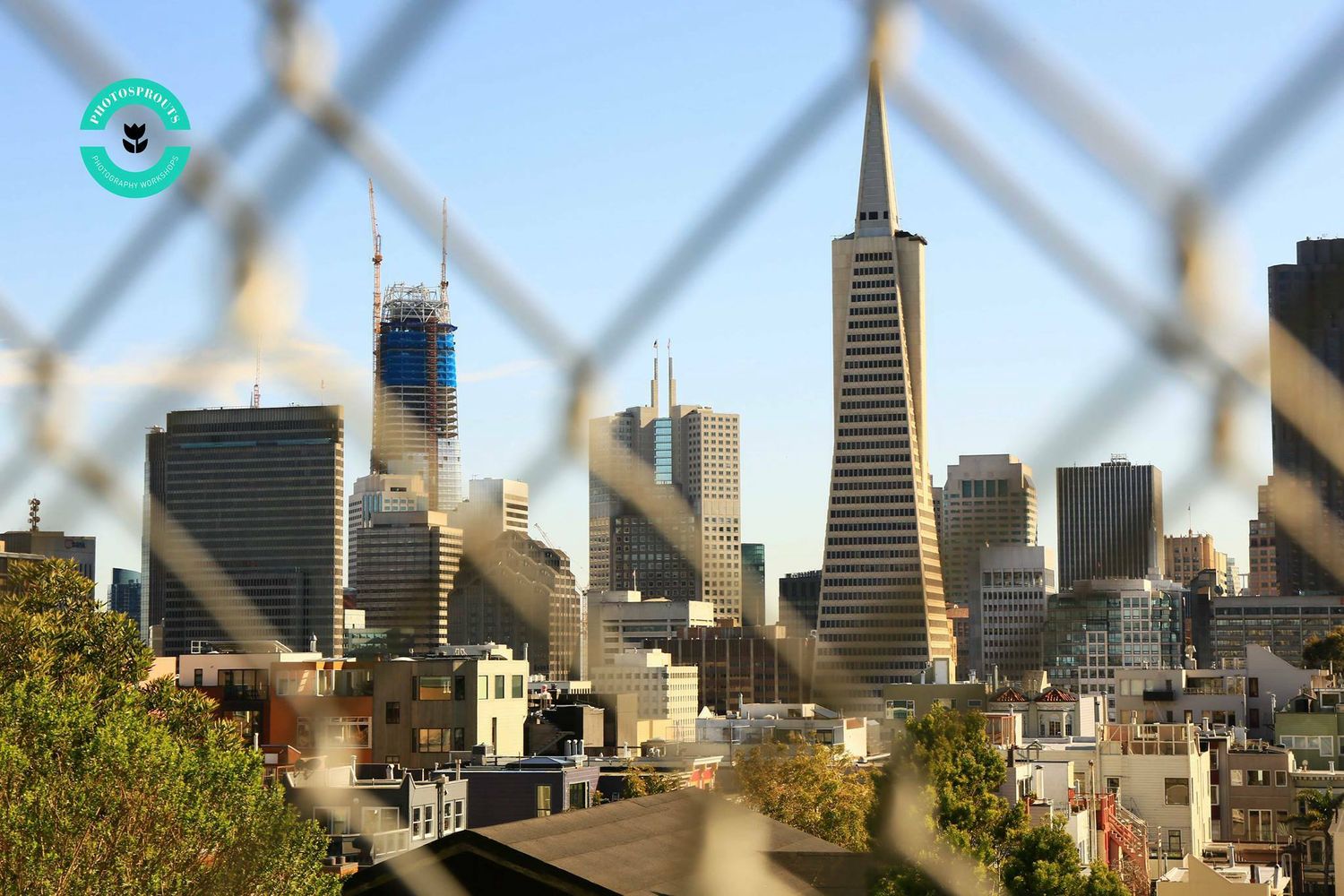 Diana M's Private Photography Class