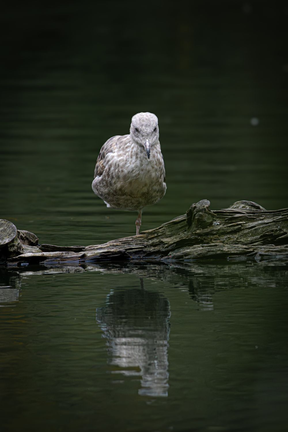 Editing in Lightroom
