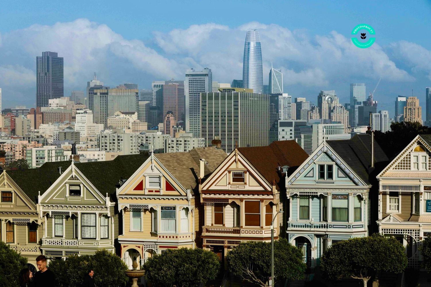 Labor Day Special-Beginner Photo Workshop at The Painted Ladies